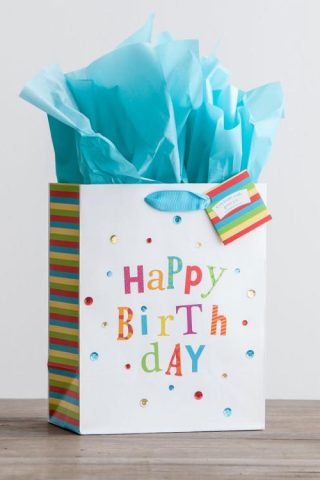 081983574641 Birthday Fun Premium Gift Bag