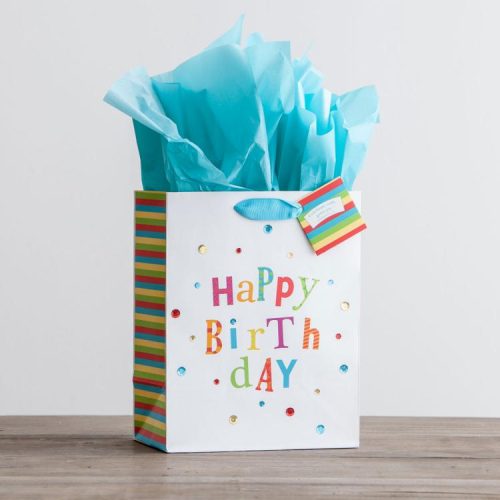 081983574641 Birthday Fun Premium Gift Bag