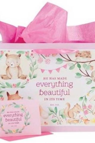1220000322387 Everything Beautiful Forest Animals Large With Card Set Ecclesiastes 3:11