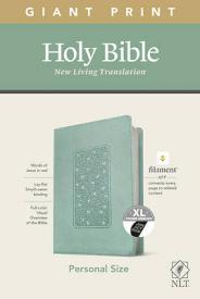 9781496445278 Personal Size Giant Print Bible Filament Enabled Edition