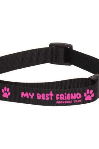 889901479395 My Best Friend Dog Collar