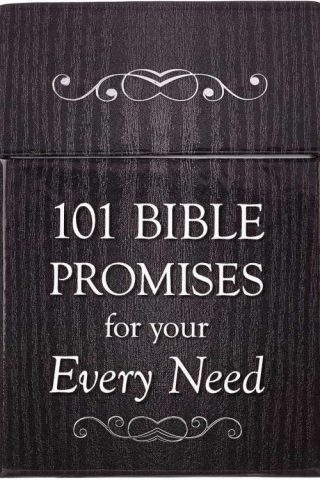 6006937115156 101 Bible Promises Box Of Blessings