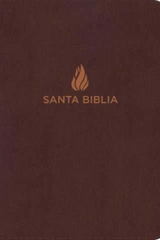 9781462791507 Giant Print Bible