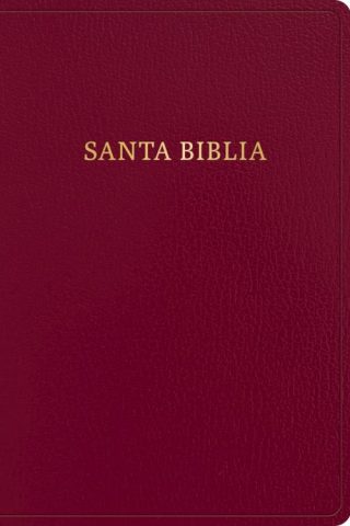 9781430091981 Giant Print Bible