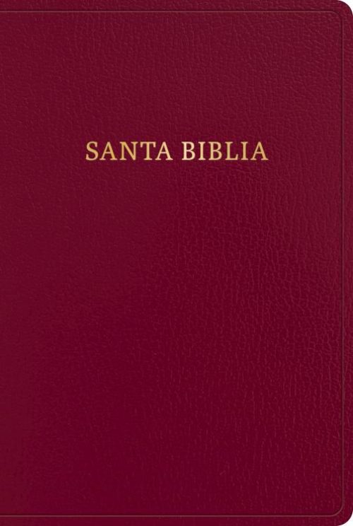 9781430091981 Giant Print Bible