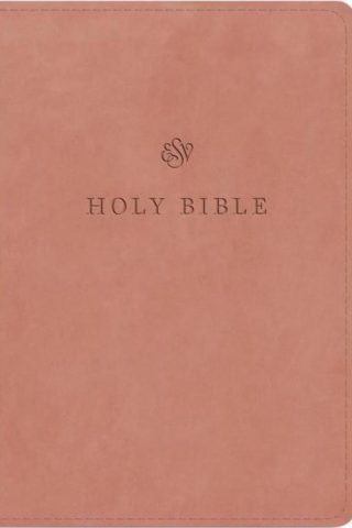 9781433595646 Large Print Compact Bible