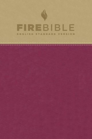 9781619701496 Fire Bible