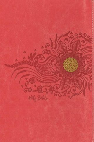 9780310454656 Premium Gift Bible Youth Edition Comfort Print