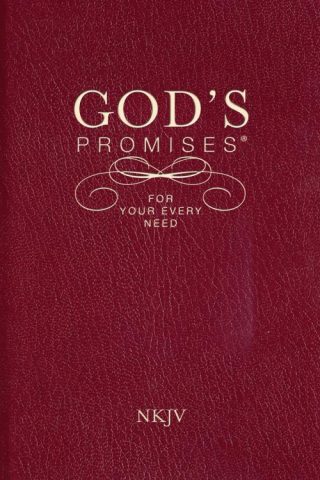 9781404186651 Gods Promises For Your Every Need NKJV