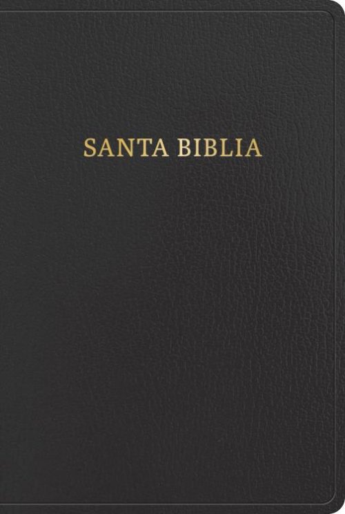 9781430091929 Giant Print Bible