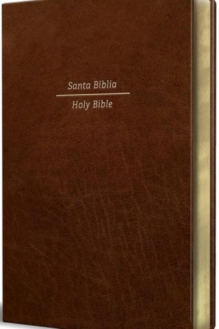 9781644734032 Bilingual RVR60 English Standard Large Print Bible