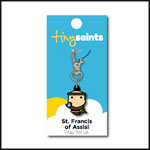 696859298264 Saint Francis Of Assisi