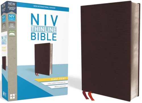 9780310448631 Thinline Bible Giant Print Comfort Print