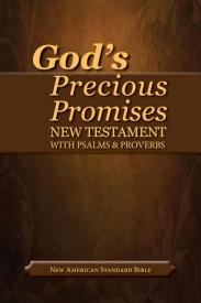 9780899579214 Gods Precious Promises New Testament With Psalms And Proverbs