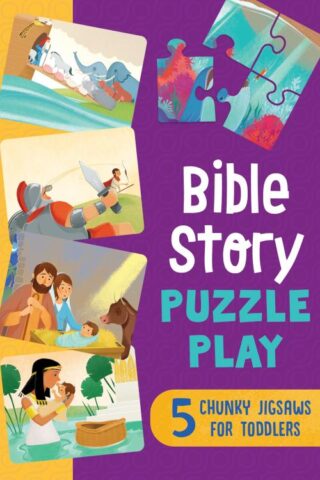 9781643527352 Bible Story Puzzle Play