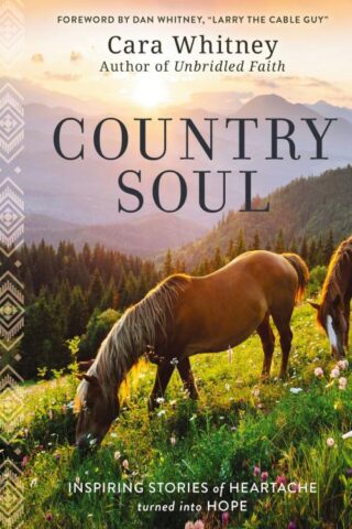 9781400233786 Country Soul : Inspiring Stories Of Heartache Turned Into Hope