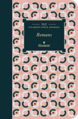 9781496458759 Filament Bible Journal Romans