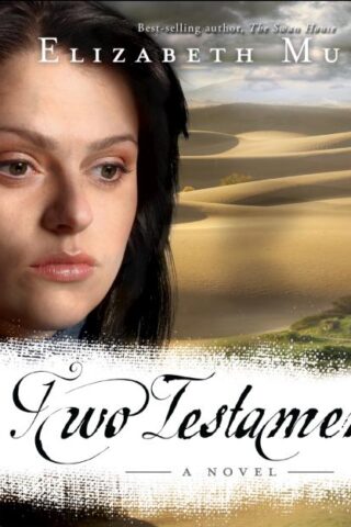 9781613751800 2 Testaments : A Novel (Audio CD)