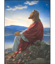 730817325637 Christ At Dawn Pocket Cards