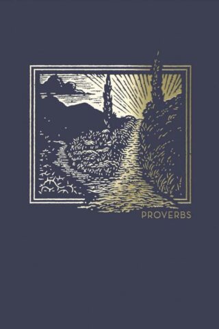 9780785237082 NET Abide Bible Journal Proverbs Comfort Print