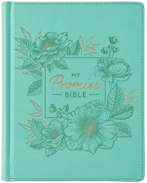 9781642726541 My Promise Bible Journaling Bible