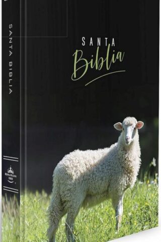 9781644737095 Handy Size Large Print Bible