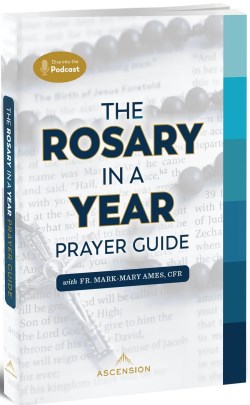 9781935940593 Rosary In A Year Prayer Guide