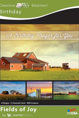 730817364452 Fields Of Joy KJV Box Of 12