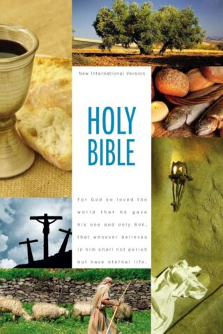 9780310435228 Textbook Edition Bible