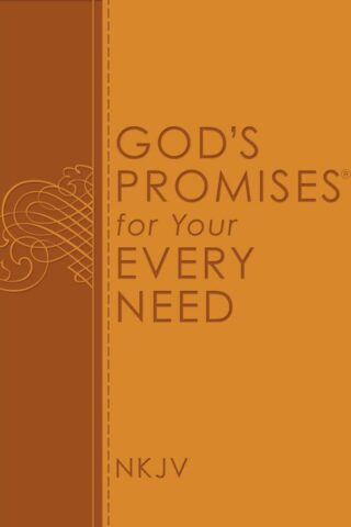 9780529100801 Gods Promises For Your Every Need NJKV