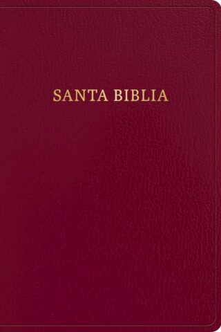 9781430091998 Giant Print Bible