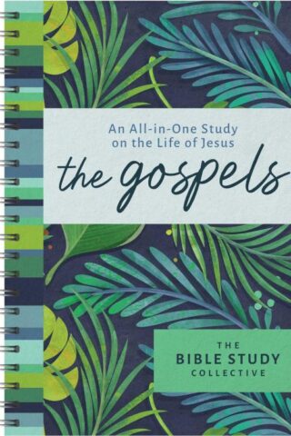 9798891510333 Gospels : An All-in-One Study On The Life Of Jesus