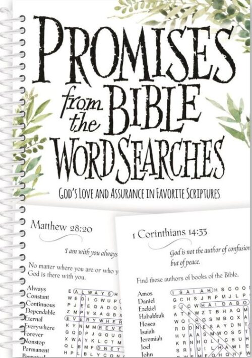 9798988008163 Promises From The Bible Word Searches