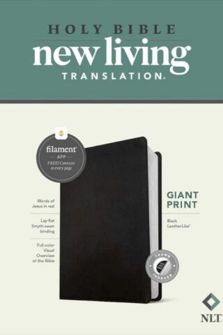 9781496482310 Giant Print Bible Filament Enabled Edition