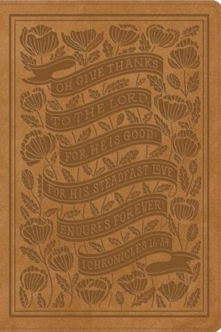 9798874902773 Womens Study Bible