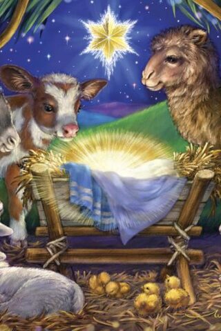 819273020314 Child Is Born Traditional Advent Calendar