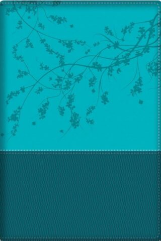 9780825448812 Woman After Gods Own Heart Bible