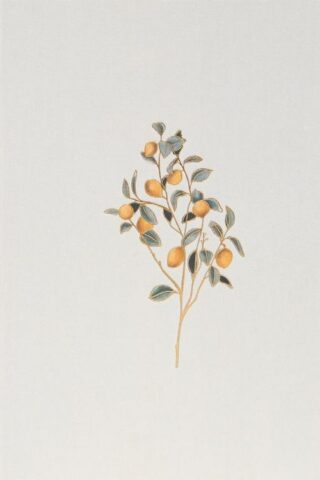 9781087742403 Notetaking Bible Hosanna Revival Edition