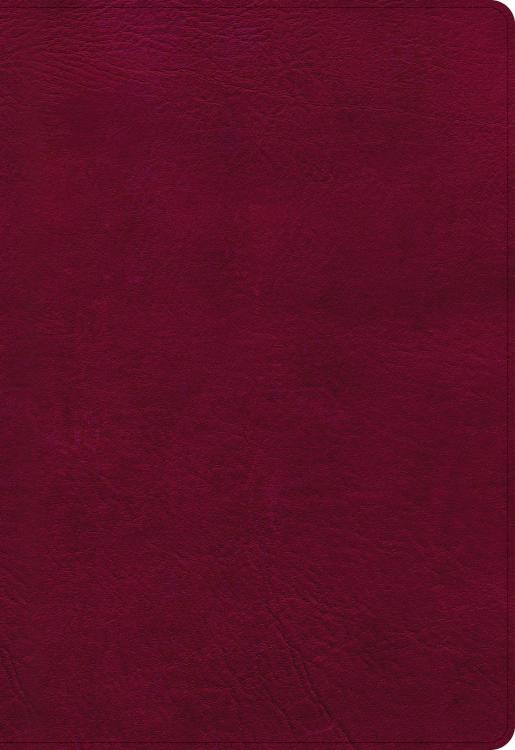 9781087756295 Super Giant Print Reference Bible