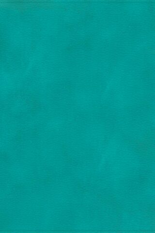 9781087757995 Apologetics Study Bible