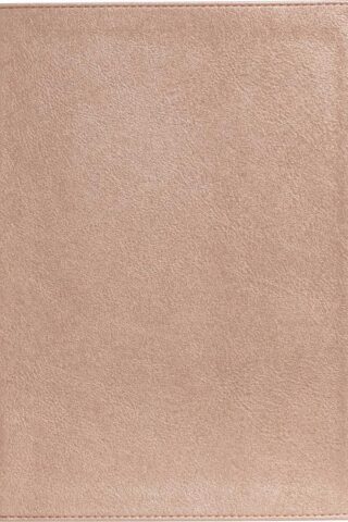 9781087782584 Study Bible