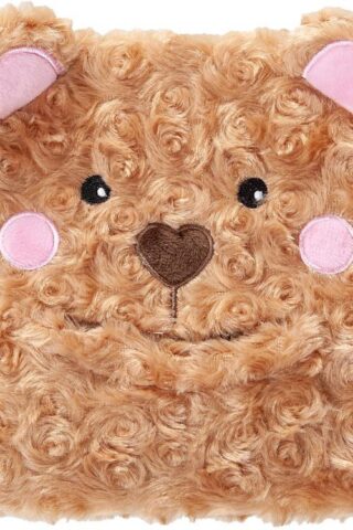 9781424571949 Prayer Bear