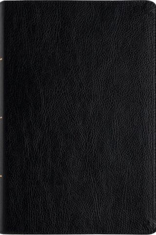 9781430094050 Everyday Study Bible