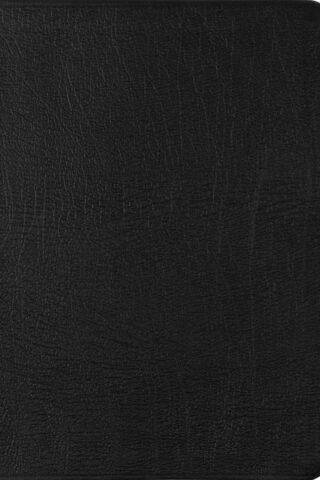 9781433588457 New Testament With Psalms And Proverbs