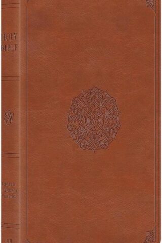 9781433598302 Large Print Thinline Bible