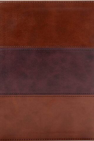 9781433651243 Apologetics Study Bible