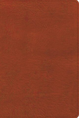 9798384523550 Study Bible Personal Size Digital Study Edition