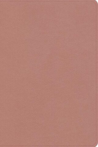 9798384523567 Study Bible Personal Size Digital Study Edition