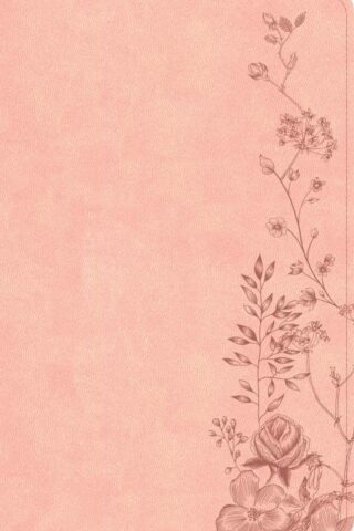 9798384533443 Single Column Compact Bible Digital Study Edition