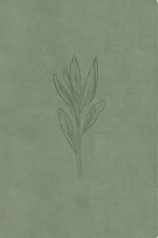 9798384533641 Thinline Bible